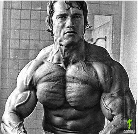 arnold schwarzenegger bodybuilding photos|arnold bodybuilding photo gallery.